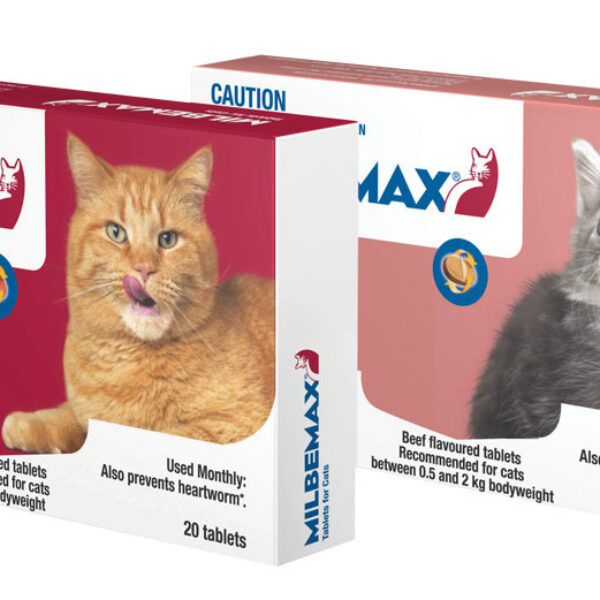 Milbemax All Wormer Beef-Flavoured Tablet for Large Cats under 2-8kg - 20 Pack